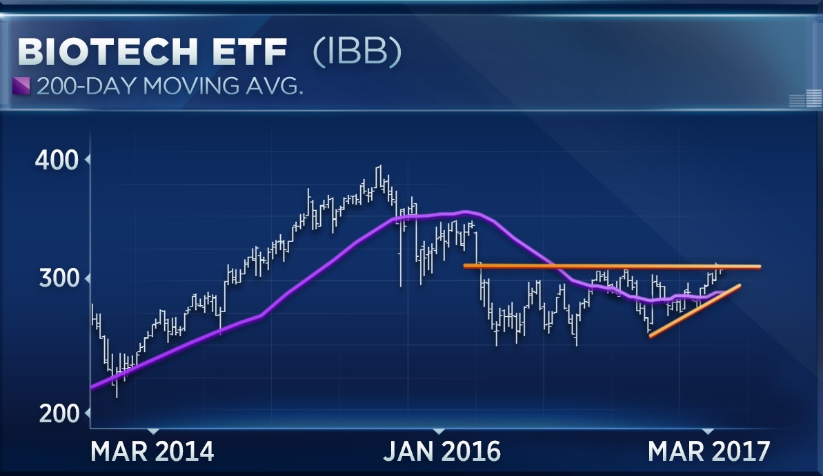 What are some recommended biotechnology ETF's?