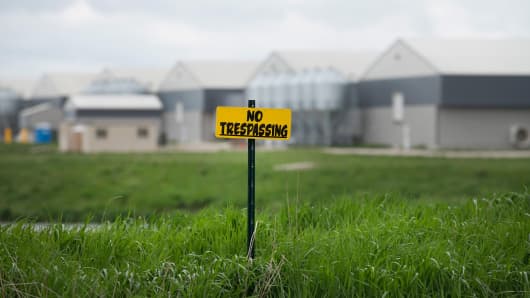 No trespassing signs are posted on the edge of a field at a farm operated by Daybreak Foods which has been designated bio security area on May 17, 2015 near Eagle Grove, Iowa.