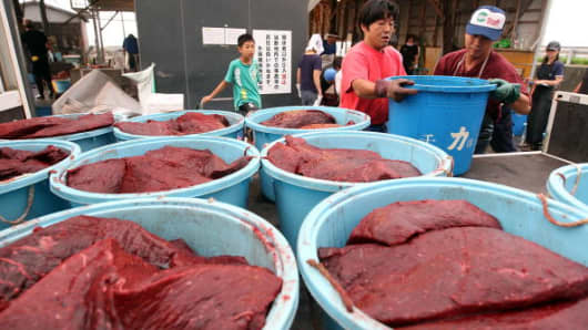 Price Of Whale Meat Japan 97