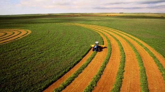 Harvesting alfalfa crop