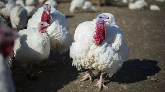 A bird flu outbreak affecting turkeys has been reported in Indiana on Jan. 15th, 2016.