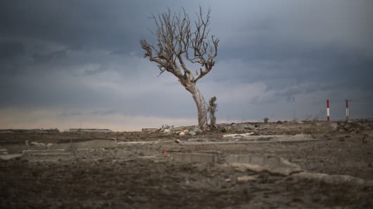 A lone tree sits on the tsunami-scarred landscape in the exclusion zone, close to the devastated Fukushima Daiichi Nuclear Power Plant on Feb. 26, 2016, in Namie, Fukushima, Japan.