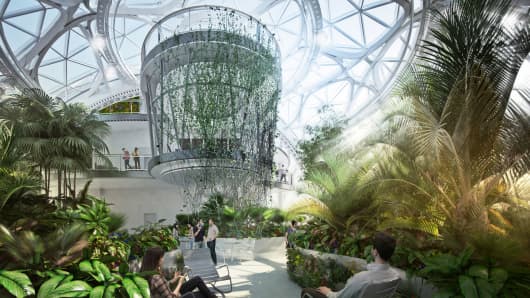Renderings of the spheres at Amazon showing what the Amazon jungle will eventually look like. Amazon is building a complex at its Seattle headquarters where employees can sit by a creek, walk on suspension bridges and brainstorm in the boughs.