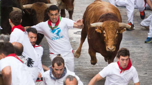 Bull Pamplona Spain