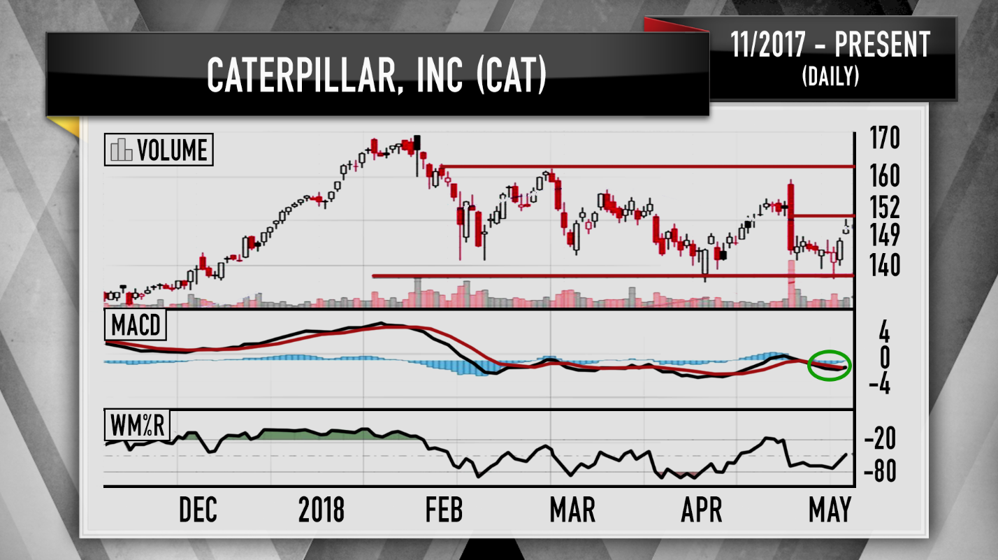 Cat Stock Chart