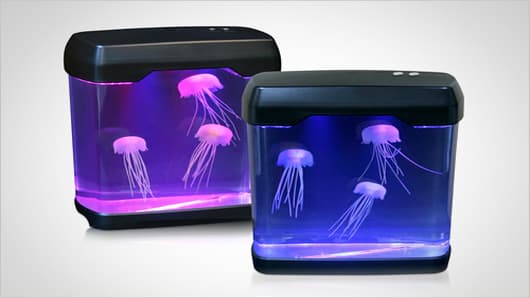 slide04_jellyfish.jpg