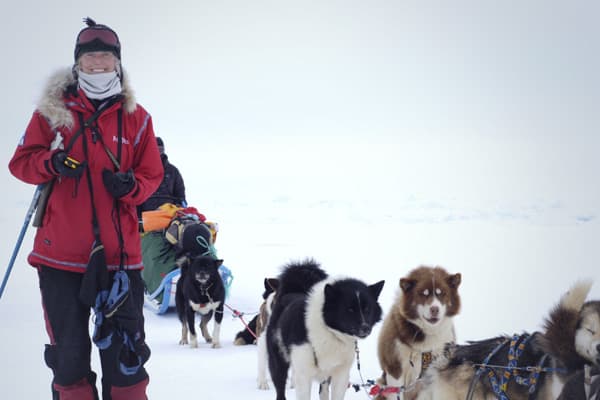 : 40,000 euros ($51,184)Designed for the ultimate adveturer, this expedition from  starts out in Longyearbyen, Norway where helicopters take you to the edge of the polar ice pack. From there it’s a 14-to-18-day dog sled trip up to the North Pole. A five day training course is included. »