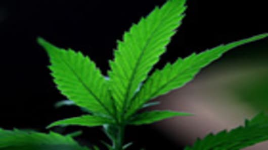 Marijuana & Money | A CNBC Special Report