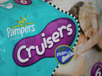 pampers dry max