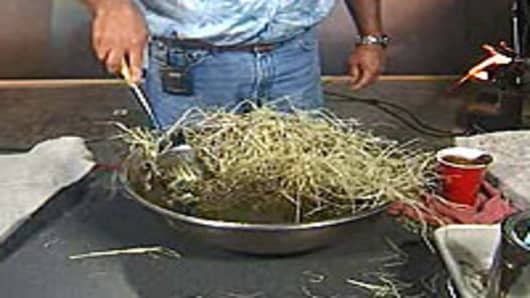 Daryl Carpenter demonstrates how ordinary hay can be used to remove oil from water.