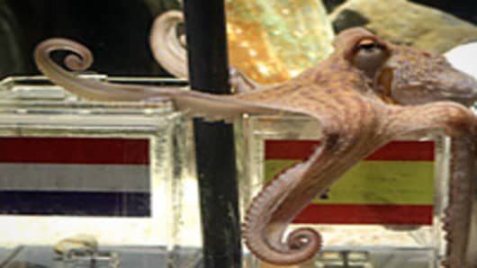 An octopus named Paul sits on a box decorated with a Spanish flag and a shell inside on July 9, 2010 at the Sea Life aquarium in Oberhausen, western Germany. Paul's task is to decide in favour of one of the shells hidden in boxes with the flags of the Netherlands and Spain to act thus as oracle for the upcoming final match of the FIFA Football World Cup between the two countries on July 11, 2010. Paul, the 'psychic' octopus, who had predicted well the result of six German matches earlier in the