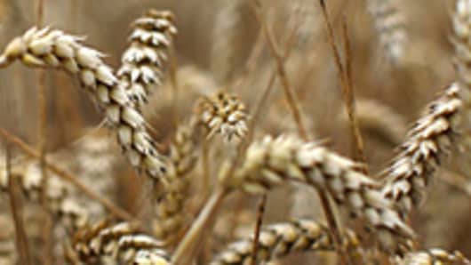 wheat_crop_2_200.jpg