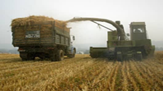 A self-propelled combine harvestes on a field near a village of Meshcherskoye, some 50 km south of Moscow.