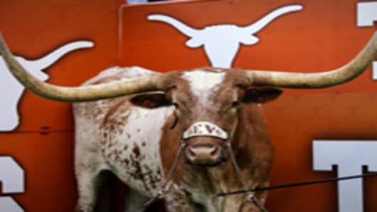 Texas Longhorns Mascot Bevo