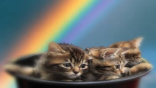 kittens_rainbow_200.jpg