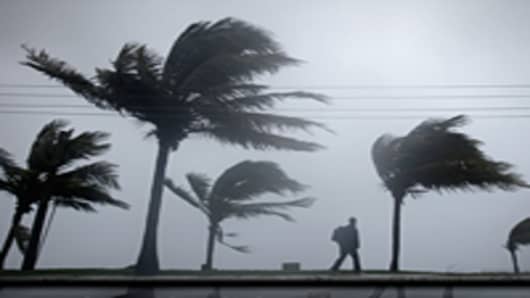 Winds from Hurricane Irene bend trees, New Providence Island, Bahamas.