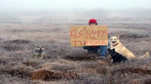 Diane McEachern sits with her dogs on the tundra near Bethel, Alaska. McEachern wanted to participate in the Occupy Wall Street protests so she gathered her dogs, bundled up and went out to the tundra with a homemade sign that read "Occupy the Tundra."