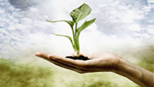 plant-in-hand-200.jpg