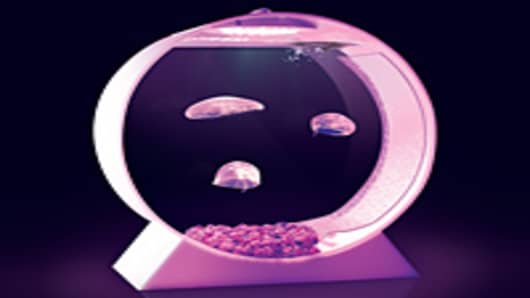 Jellyfish in tank