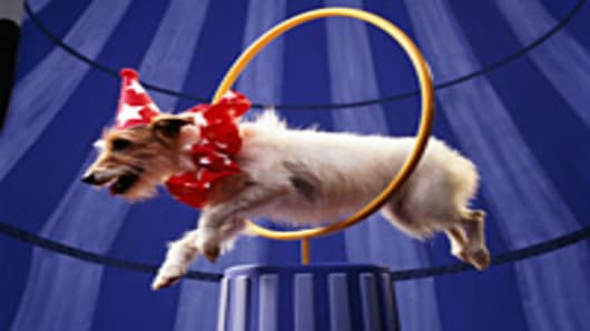 dog-circus-hoop-200.jpg