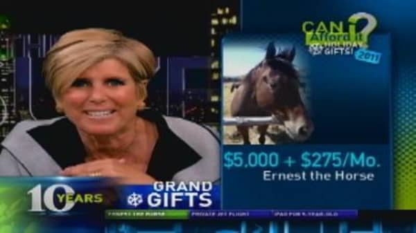 Can I Afford a $5,000 Horse?