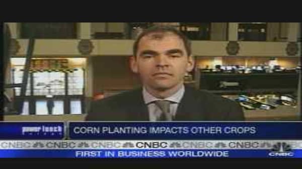 Corn Becomes a Sought After Commodity
