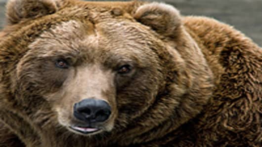 Bad Time for Bears Despite Fiscal Cliff: Money Manager