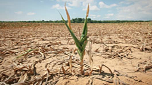 Parched Earth Policy: Are We Running Out of Water?