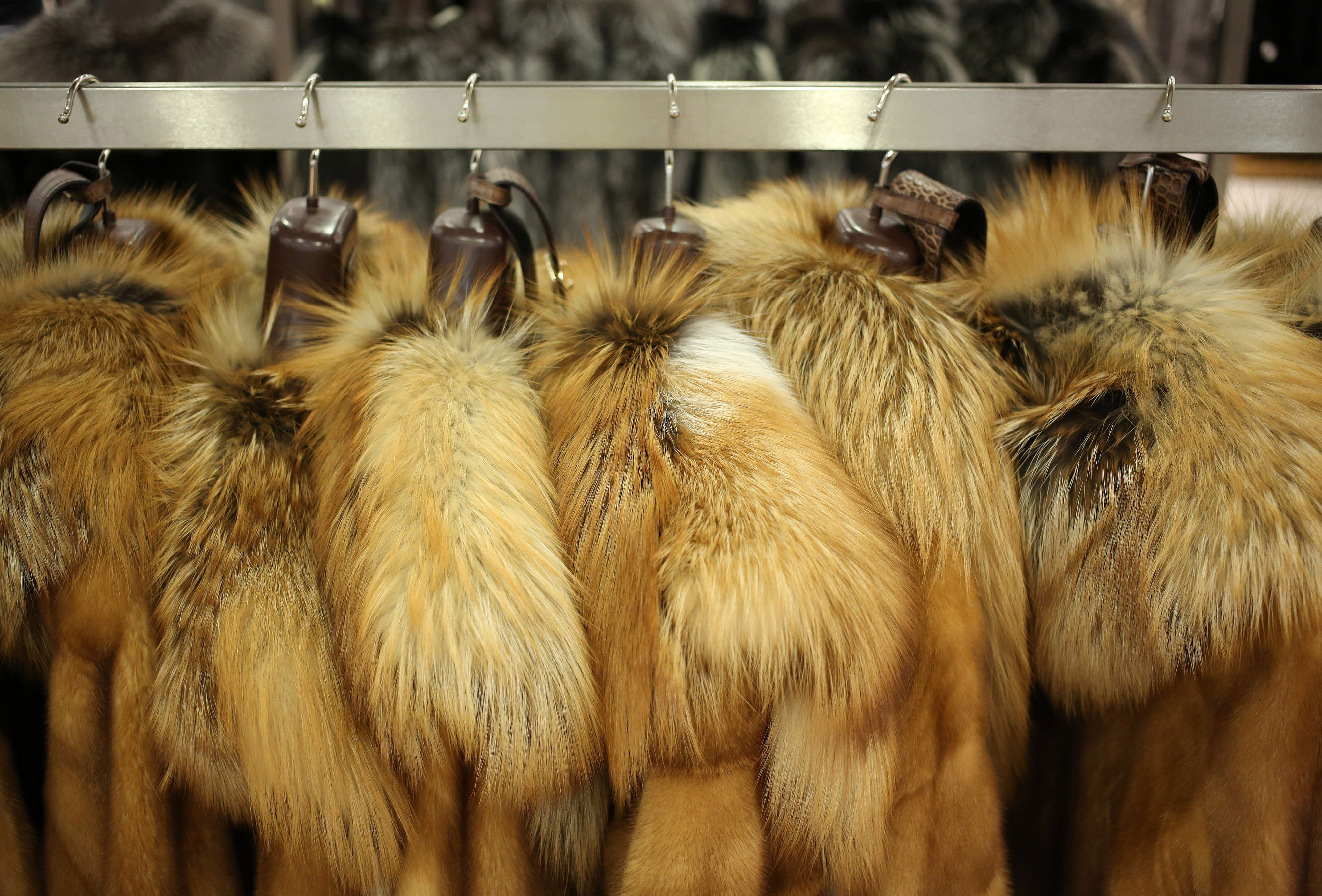 Furs Fly as Chinese Consumers Drive Boom in US Mink Farming