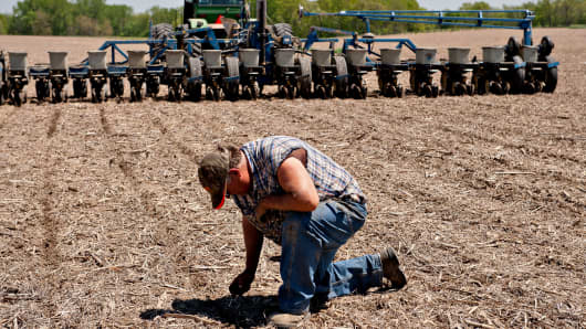 A farmer verifies that his equipment is dropping seeds at the appropriate depth as he plants a cornfield outside Henry, Ill.