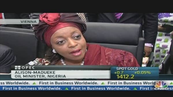US Shale Oil 'Grave Concern': Nigeria oil minister
