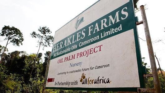 Herakles Farms sign in Cameroon.