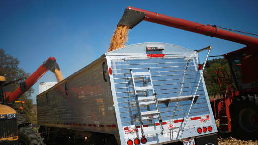 Corn is deposited into a semi-trailer after being harvested in Shelbyville, Kentucky.