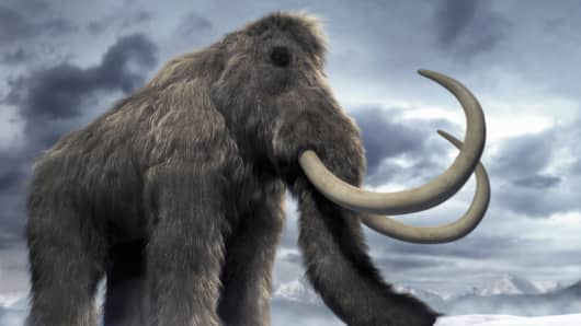 A digitally-generated image of a woolly mammoth.