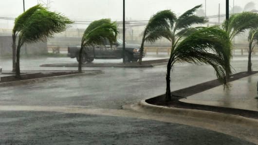 A scene in Manzanillo, Mexico during hurricane Patricia, on October 23, 2015.