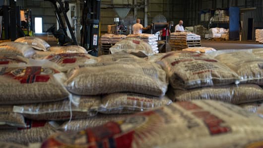 Workers bag pinto beans at the Weststar Foods Co. LLC facility at the Port Of Corpus Christi in Corpus Christi, Texas.