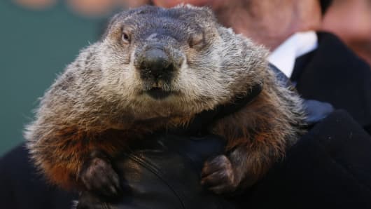 Famed weather prognosticating groundhog Punxsutawney Phil. An early spring was predicted as Phil did not see his shadow.