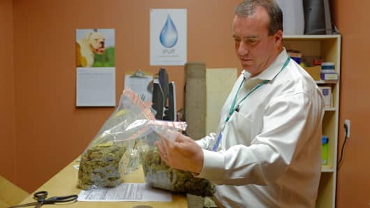 Corey Young, a founder of courier service CannaRabbit LLC, delivers bags of marijuana to a dispensary in in Louisville, Colorado, U.S., on Friday, March 27, 2015. CannaRabbit and peers are rushing in as regional truckers and nationwide haulers United Parcel Service Inc. and FedEx Corp. steer clear of transporting marijuana on concerns over the lack of nationwide clearance of a practice that is still illegal in most states.