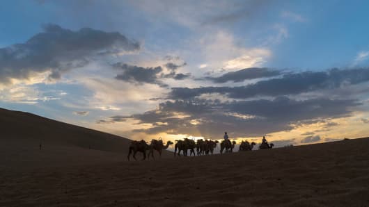 Tour guide rides on camel, walking on the desert at sunset. The Mingsha Shan desert (Mount Mingsha) is a part of the ancient silk road.
