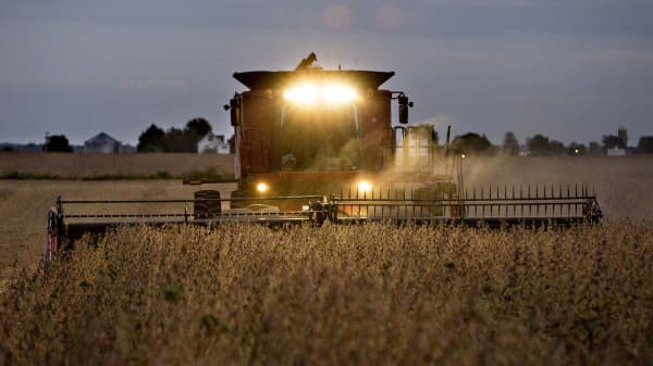 Soybeans are harvested near Princeton, Ill.