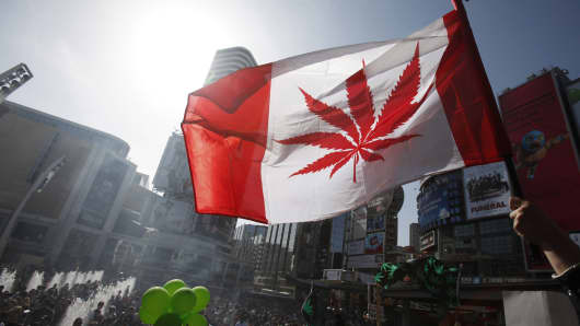 The world's first marijuana-focused exchange-traded fund opened on the Toronto Stock Exchange. (File photo).