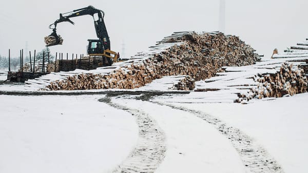 Raw lumber is unloaded from a truck at the Resolute Forest Products mill in Thunder Bay, Canada, Ontario, on Friday, Jan. 8, 2016.