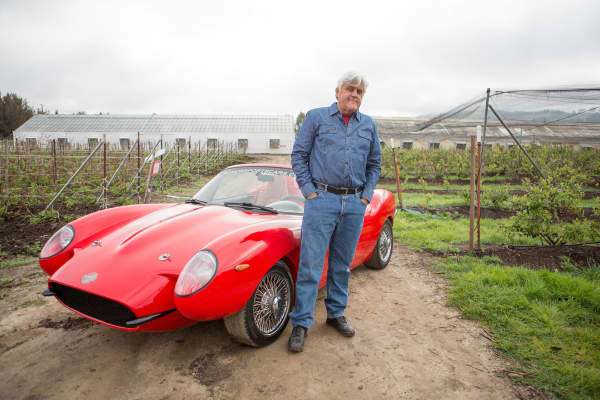 Image result for Jay Leno drives a car made out of cannabis