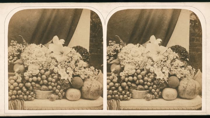 A stereoscopic card depicting a still life with fruit and flowers, circa 1865.