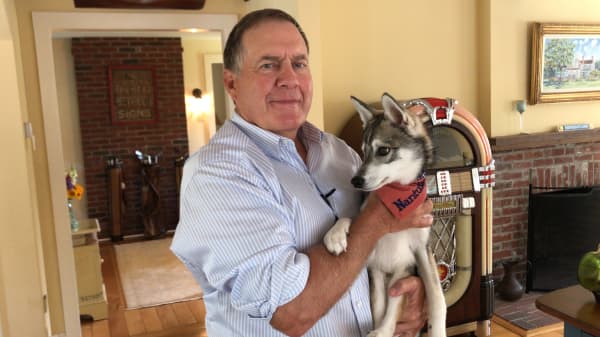 Nothing puts a smile on Bill Belichick's face like his dog Nike