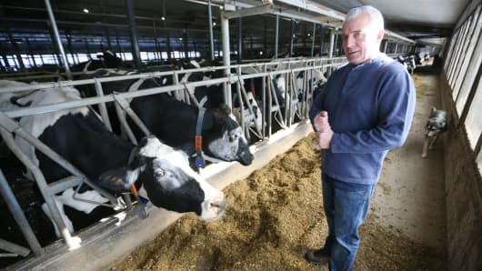 David Wiens, owner of Skyline Dairy, speaks while standing next to cows at his farm near Grunthal, Manitoba, Canada, on Friday, March 16, 2018. 