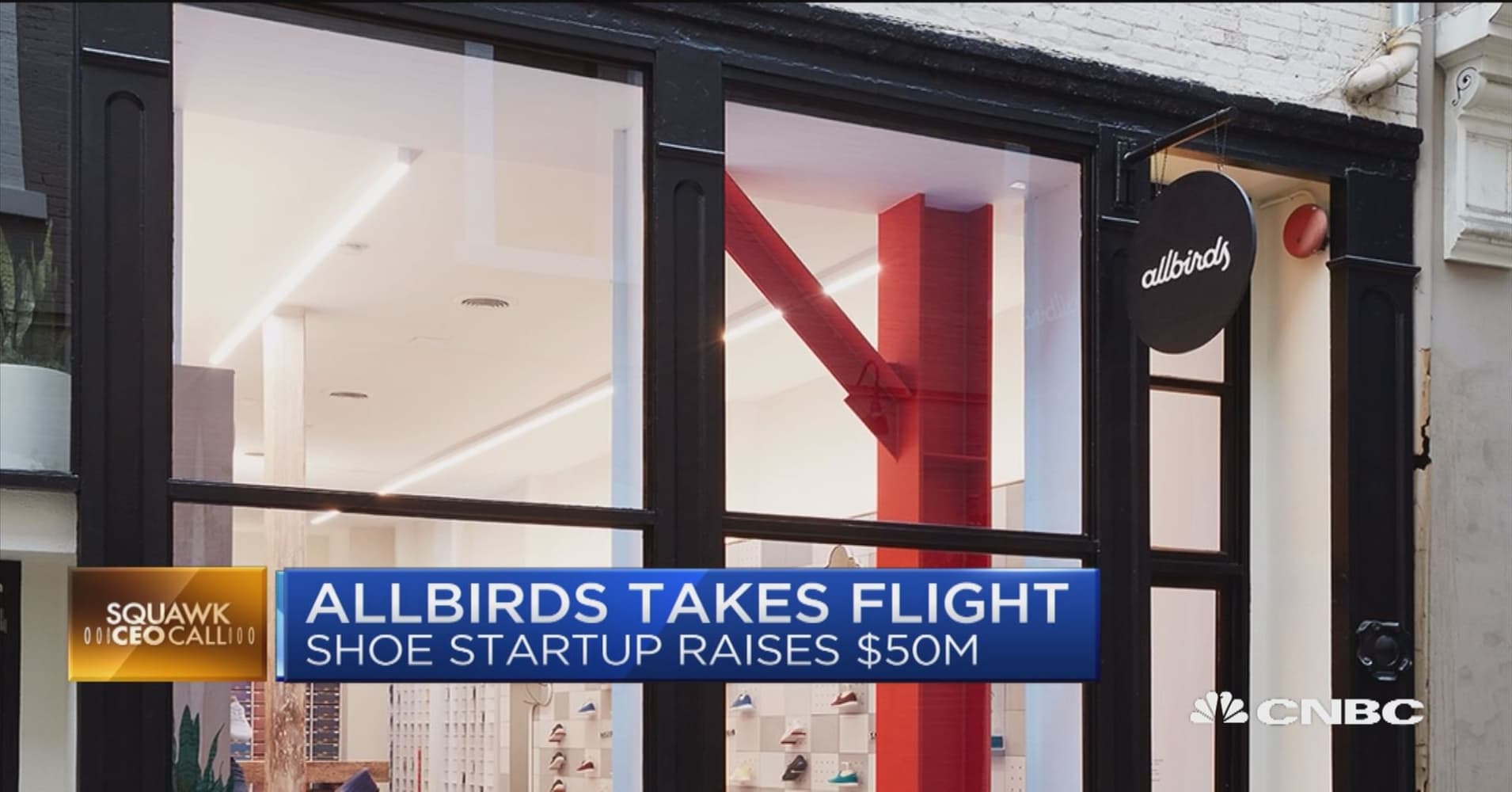 Allbirds co-CEO on origin story and 