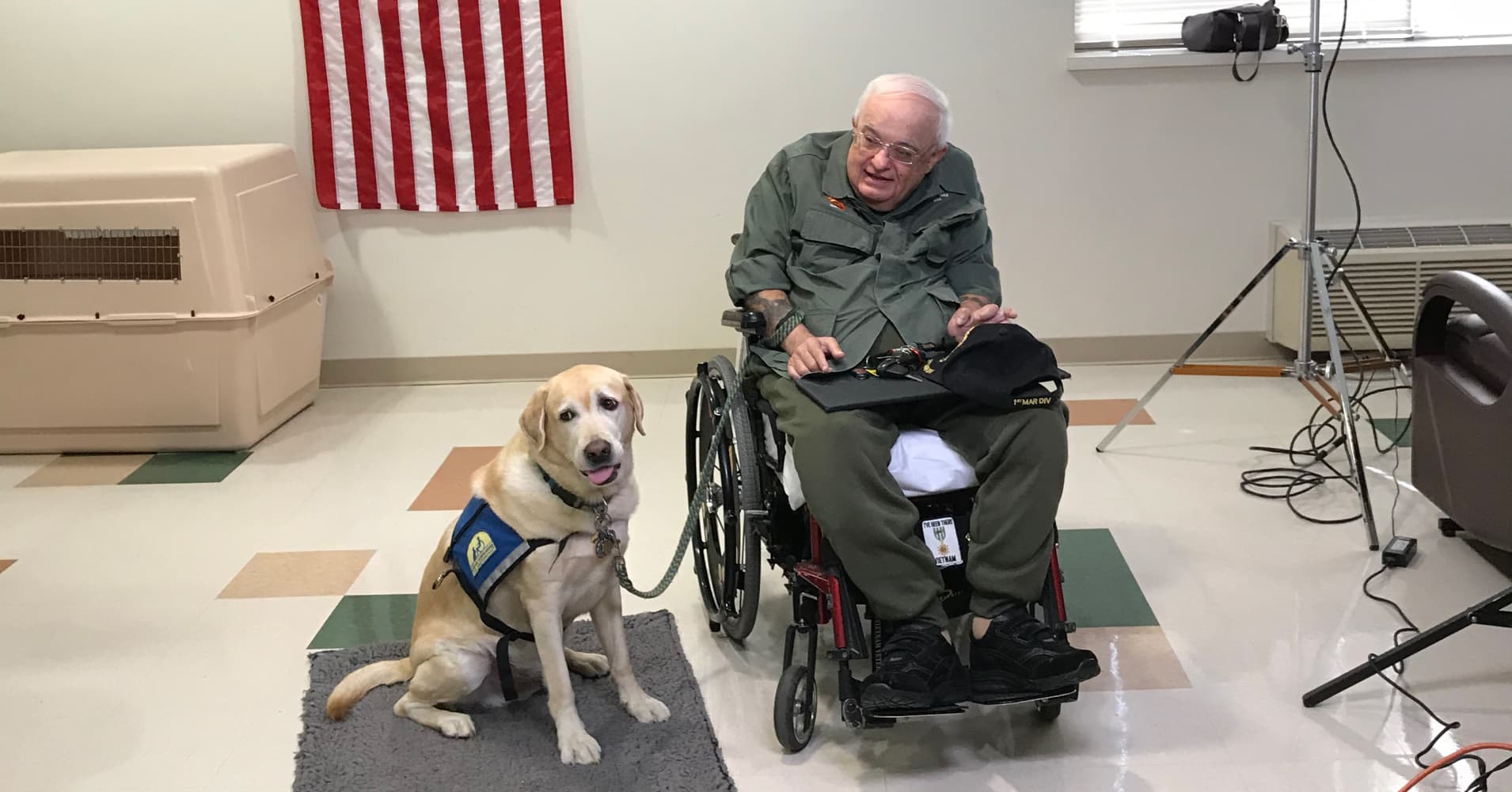 How service dogs are helping the disabled and wounded veterans cope with stress
