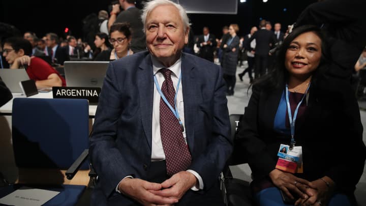 David Attenborough attends the opening ceremony of the COP 24 United Nations climate change conference on December 03, 2018 in Katowice, Poland.