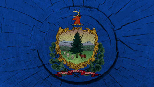 Vermont State flag painted on a tree stump
